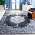 thumbnail image 4 of SAFAVIEH Tucson Layton Traditional Machine Washable Area Rug, 8' x 10', Black/Beige, 4 of 15