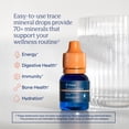 thumbnail image 3 of Trace Minerals ConcenTrace Trace Mineral Drops Supports Energy & Digestion - 6 Servings, 3 of 8