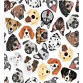 thumbnail image 3 of Dogs Duvet Cover Set Twin Size, Graphic Faces of Various Different Dog Breeds Funny Happy Puppies Illustration Pattern, Decorative 2 Piece Bedding Set with 1 Pillow Sham, Multicolor, by Ambesonne, 3 of 3