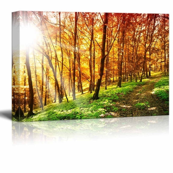 Canvas Prints Wall Art - Beautiful Scenery of Sun Ray in the Forest in Autumn | Modern Wall Decor/Home Decor Stretched Gallery Canvas Wraps Giclee Print & Ready to Hang - 32" x 48"
