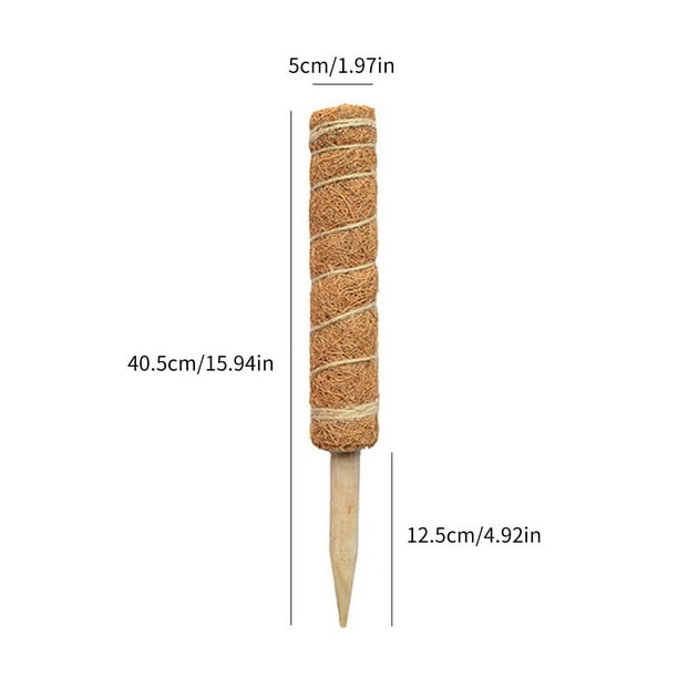 Fiudx Juego de Postes de Escalada, Varillas de Soporte de Fibra de Musgo Natural, Tutores Versátiles para Plantas de Interior, Diseño de Fácil Extensión, Ideal para Enredaderas y Trepadoras, Entusias