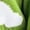 Green, variant on Women'S Casual Elegant Cloud Print Cropped Button Front Long Sleeve V Neck Knit Cardigan Pink S