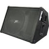 NIPPON MSZ1250 Dj Speaker 12"" 2-way Monitor Style