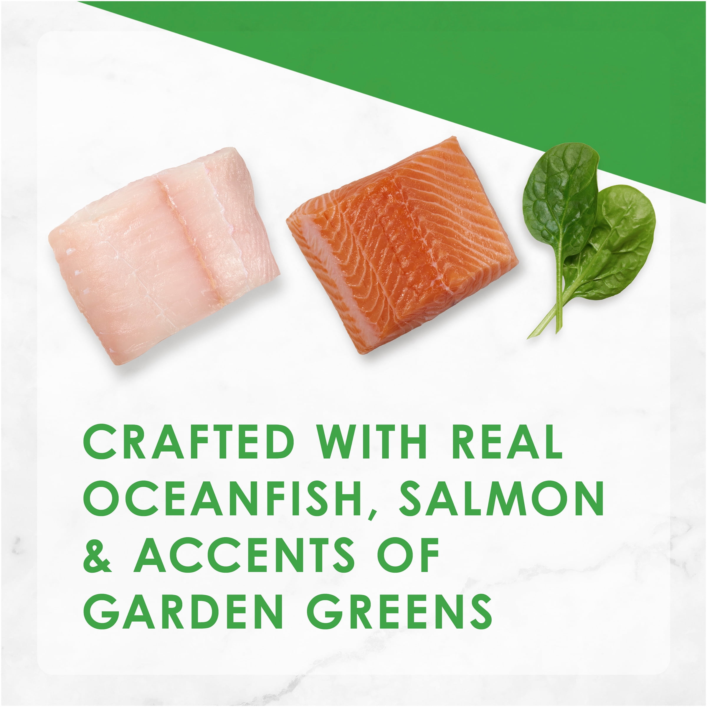 Purina Fancy Feast With Ocean Fish & Salmon and Accents of Garden Greens Dry Cat Food, 3 LB (Pack of 4)