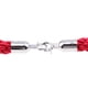thumbnail image 1 of Moyic Barrier Rope Crowd Control Stanchion Queue Rope with Hooks Twisted Type2 NO2, 1 of 6