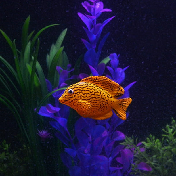 Aquarium Poissons Artificiels Aquarium Glow Fish Poissons D