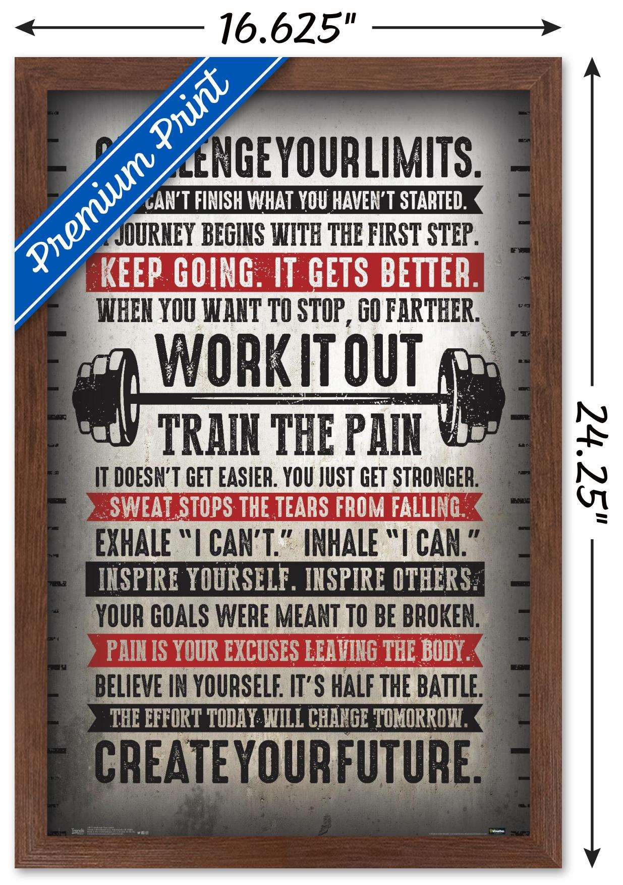 Challenge Your Limits Wall Poster, 14.725" x 22.375", Framed