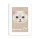 thumbnail image 1 of White domestic cat animal Marco de Fotos de escritorio imagen Blanco Pintura arte 5x7 pulgadas, 1 of 4