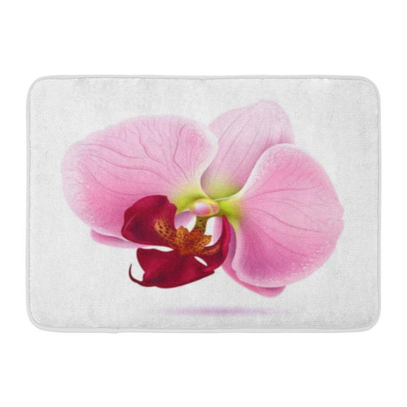 YUSDECOR Purple Beauty Pink Spa Orchid Flower White Orchidea Red Exotic Rug Doormat Bath Mat 23.6x15.7 inch