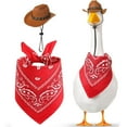 thumbnail image 2 of JoyMoreHome Western Cowboy Porch Goose Outfit for Lawn Outdoor, Plastic Goose Clothing Cowboy Hat and Scarf for Party Statue Outdoor Garden Patio Yard Decor, 2 of 6