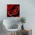 thumbnail image 5 of Fenyluxe Red Rose Water Droplets Wall Decor for Bedroom Kitchen Ready to Hang Room Home Art 12x12in, 5 of 6