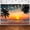5x3ft, variant on Sea Beach Sunset Backdrop Hawaii Tropical Palm Trees Luau Background Summer Seaside Vacation Wedding Birthday Baby Shower Party Decorations Banner Photo Booth Props