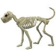 thumbnail image 1 of Seasons SE18134 Buster Bonez Costume, 1 of 2