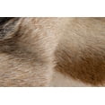 thumbnail image 2 of 2" x 3" Tan And White Calfskin Area Rug, 2 of 2