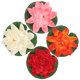 thumbnail image 2 of EeaseMX Adornos de decoración para pecera, estanque de flores de loto de plástico, lirio de agua flotante de simulación de 17CM, 4 Uds. (blanco + naranja + rosa), 2 of 7