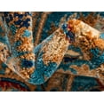 thumbnail image 7 of Unique Loom Alcott Dorchester Rug , 9' 0" x 12' 0" ,Turquoise, 7 of 7