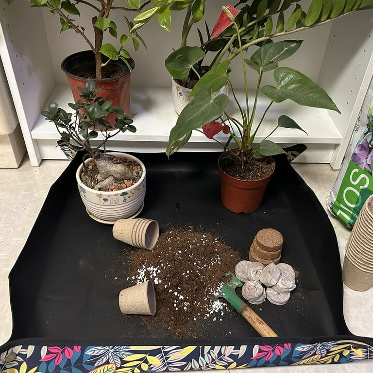 palm tree potting mix Palm Tree Growing Soil Mix  Custom Soil Blend  Potting Mix for Palm Trees  Specially Developed by and for Professional Nursery Growers