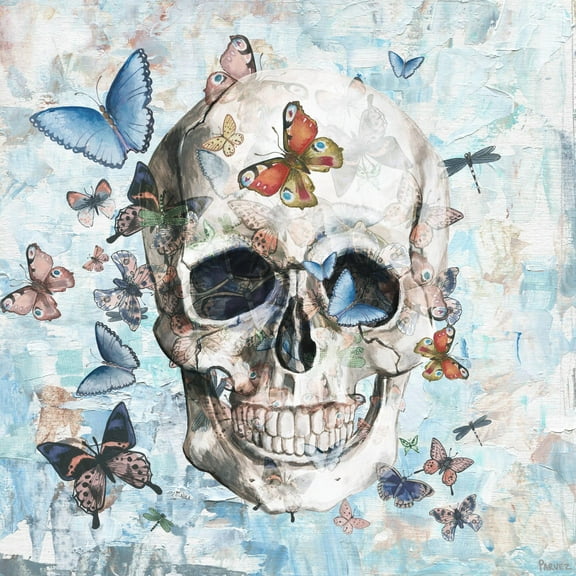 Parvez Taj "Clouded Happy Butterfly Skull" Painting Print on Wrapped Canvas