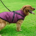 thumbnail image 4 of PATIO_PEACE_INC Pet Dog Jacket With Harness Windproof Winter Pet Dog Padded Coat Clothes, 4 of 6