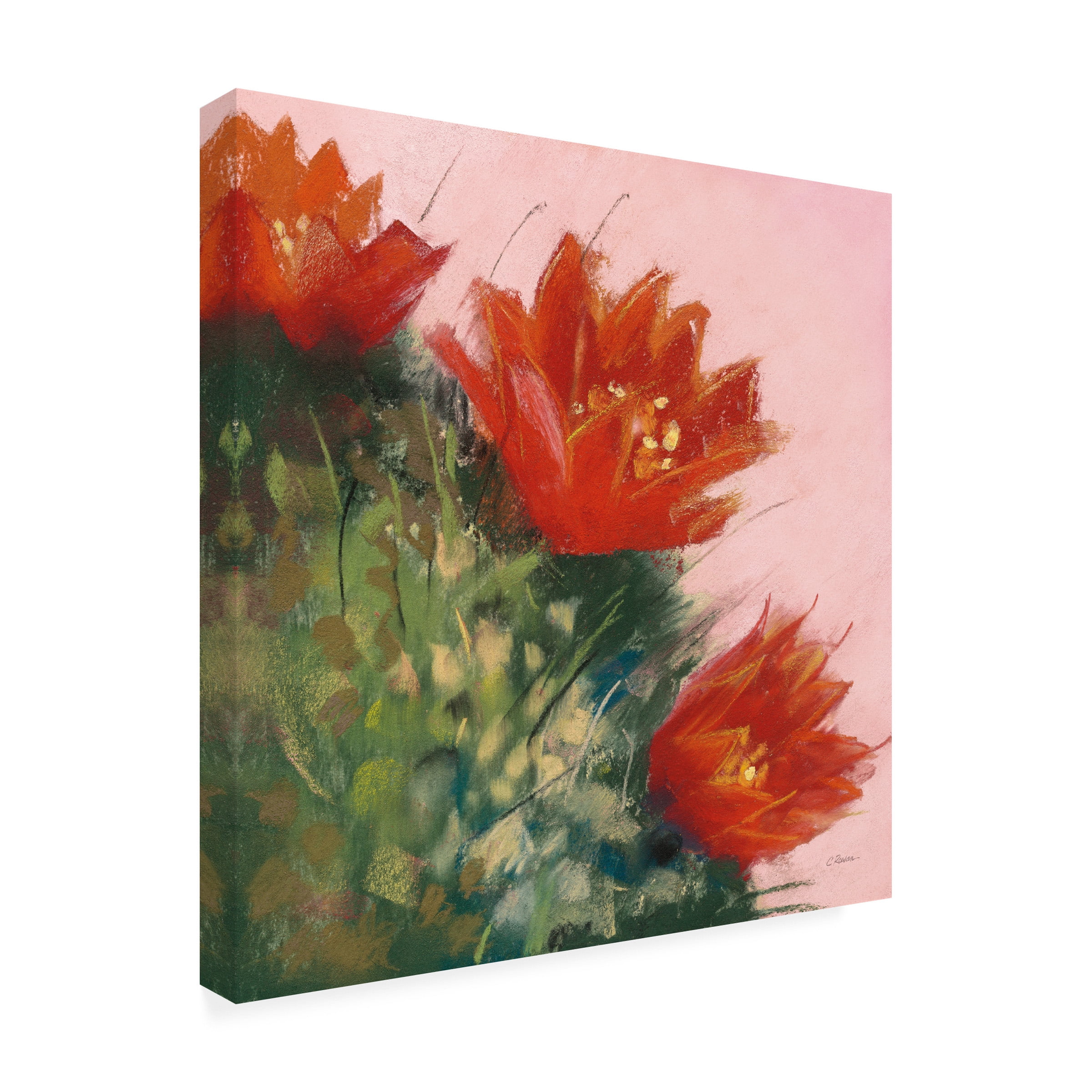 Carol Rowan 'Blooming Succulent IV' Canvas Art