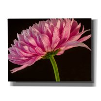 Epic Graffiti 'Mum With Water Droplets' by Pamela Plummer, Canvas Wall Art, 16"x12"