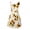 White, variant on Summer Dresses Women Sleeveless Sunflower Print Summer Beach A Line Casual Dress Party Dress Mid-Length(Green,XL)
