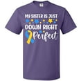 thumbnail image 3 of Inktastic My Sister Is Just Down Right Perfect- Down Syndrome Awareness Ribbon T-Shirt, 3 of 5