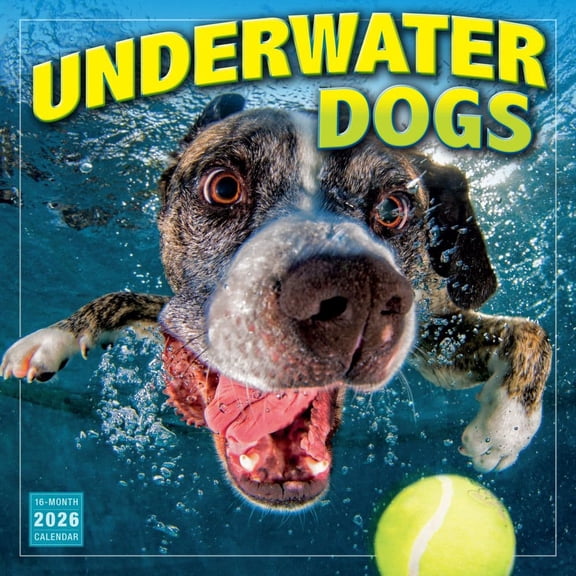 Sellers Publishing, Underwater Dogs 2026 Wall Calendar, 12'' X 12'', 16-Month Calendar with Stapled Binding