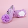 thumbnail image 5 of TFEOQRY Kids Canvas Ballet Shoes Flower Decor Soft Split Sole Elastic Straps Dance Flats, 5 of 9