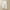 White, variant on CLOISE Pants for Women With Pockets Pull On Cotton Linen Pants Soft Elastic Waist Pants Lounge Mid Rise Straight Leg Pants Solid Lightweight Trousers Casual Summer Beige