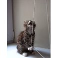 thumbnail image 4 of Blinds Cord for Windows - White 2mm 20 Metres String for Austrian Festoon Cording Vertical Blind Replacement, 4 of 5