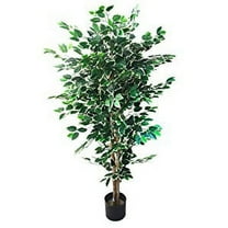 Pure Garden Ficus Tree, 5-Feet