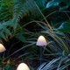 thumbnail image 2 of Juego de 12 luces solares para jardín con forma de seta - Decoración exterior - Decoración de jardín, 2 of 5