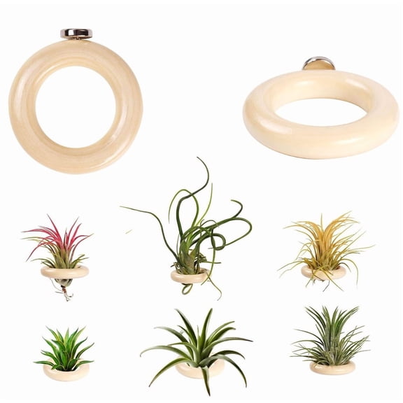 NOGIS 6 Pack Air Plant Holder Magnet Wooden Air Plant Display Stand Small Hanging Planter Wall Mount Holder for Live Tropical Tillandsia Fridge & Home Office Decoration Plants Not Included