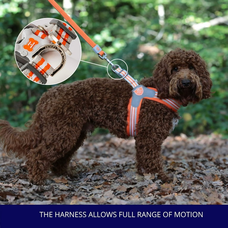 Hugo and hudson easy harness cheap