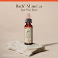 thumbnail image 5 of Esencia floral Bach Original Mimulus, 10 ml, sin alcohol, 5 of 5