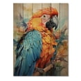 thumbnail image 3 of Designart "Vibrant Plumage Orange Blue Parrot" Animals Print on Natural Pine Wood, 3 of 5