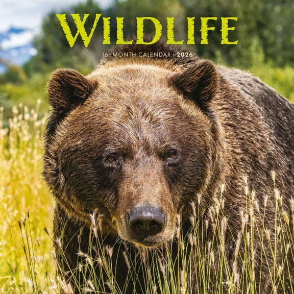 Carousel Calendars, Wildlife Special Value 2026 Wall Calendar