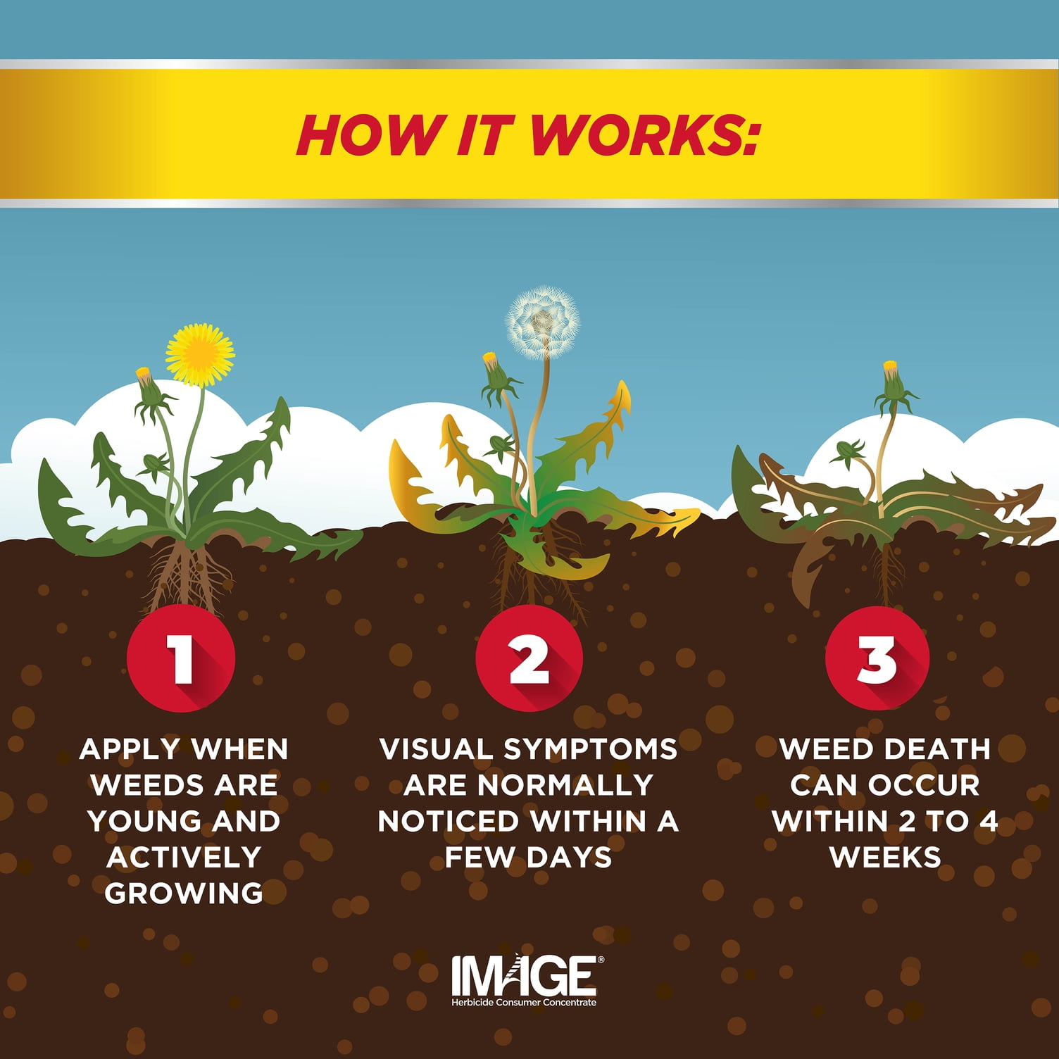 Weed Killer For Centipede Lawn