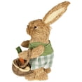 thumbnail image 4 of Northlight 10.5" Sisal Easter Bunny Rabbit Spring Figure with Carrot Basket - Brown/Green, 4 of 6
