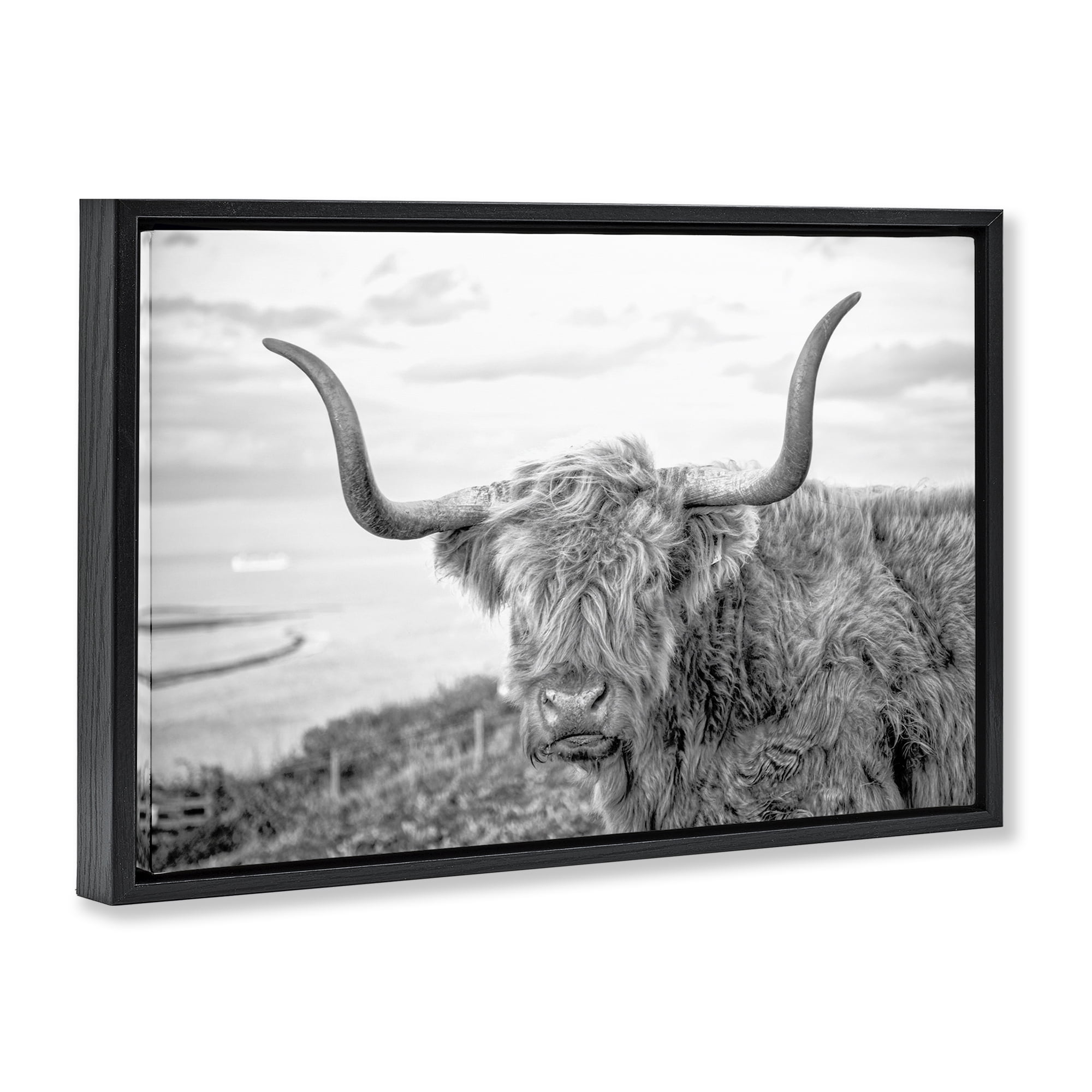 Stupell Industries Traditional Fuzzy Cattle Animals & Insects Photography Black Floater Framed Canvas Art Print Wall Art, 25 x 17