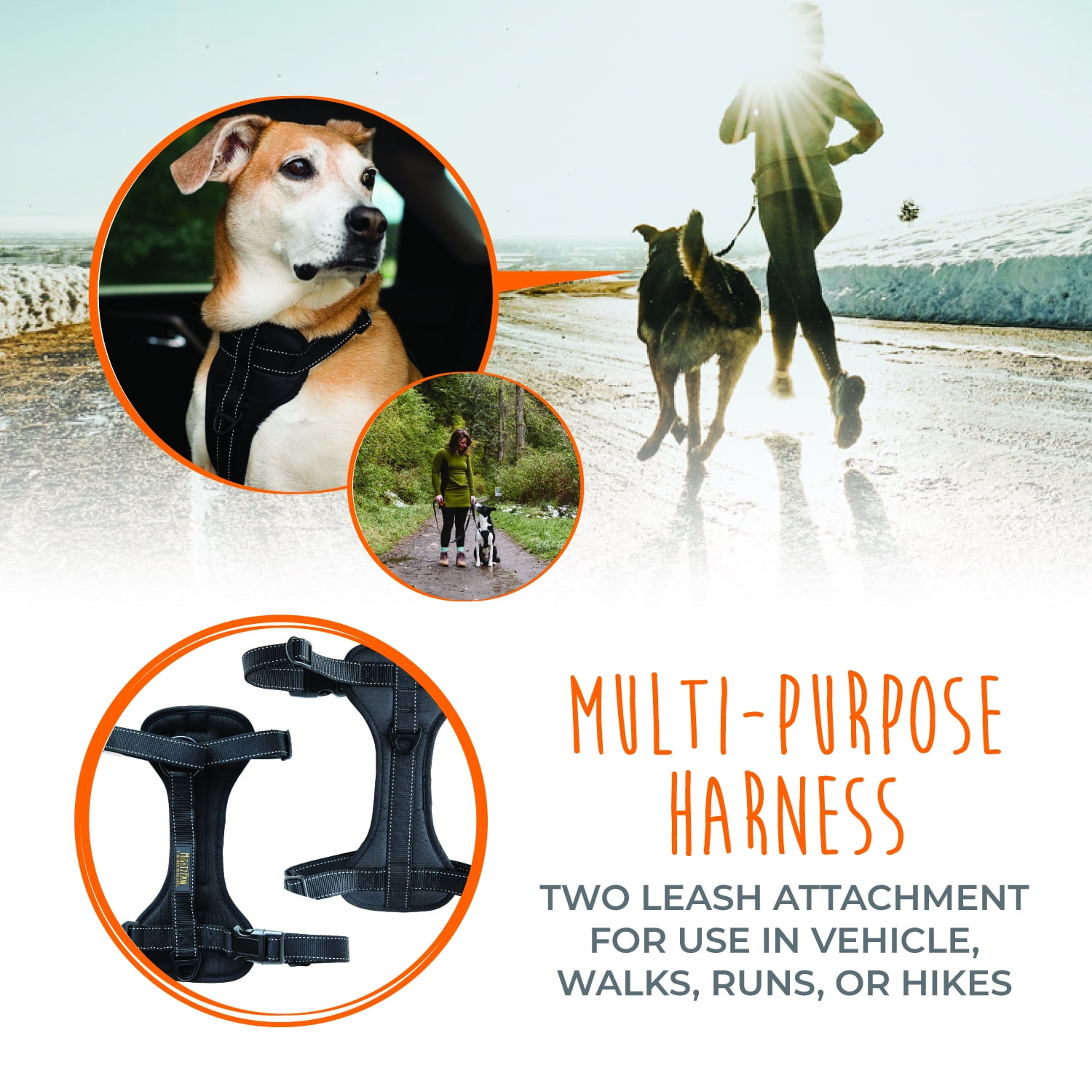 mighty paw vehicle safety harness
