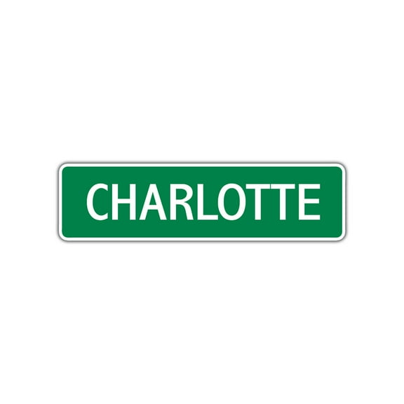 Charlotte Girls Children Indoor Outdoor Unique Name Letter Printed Label Wall Plaque Decoration Aluminum Metal Sign4"x13.5"