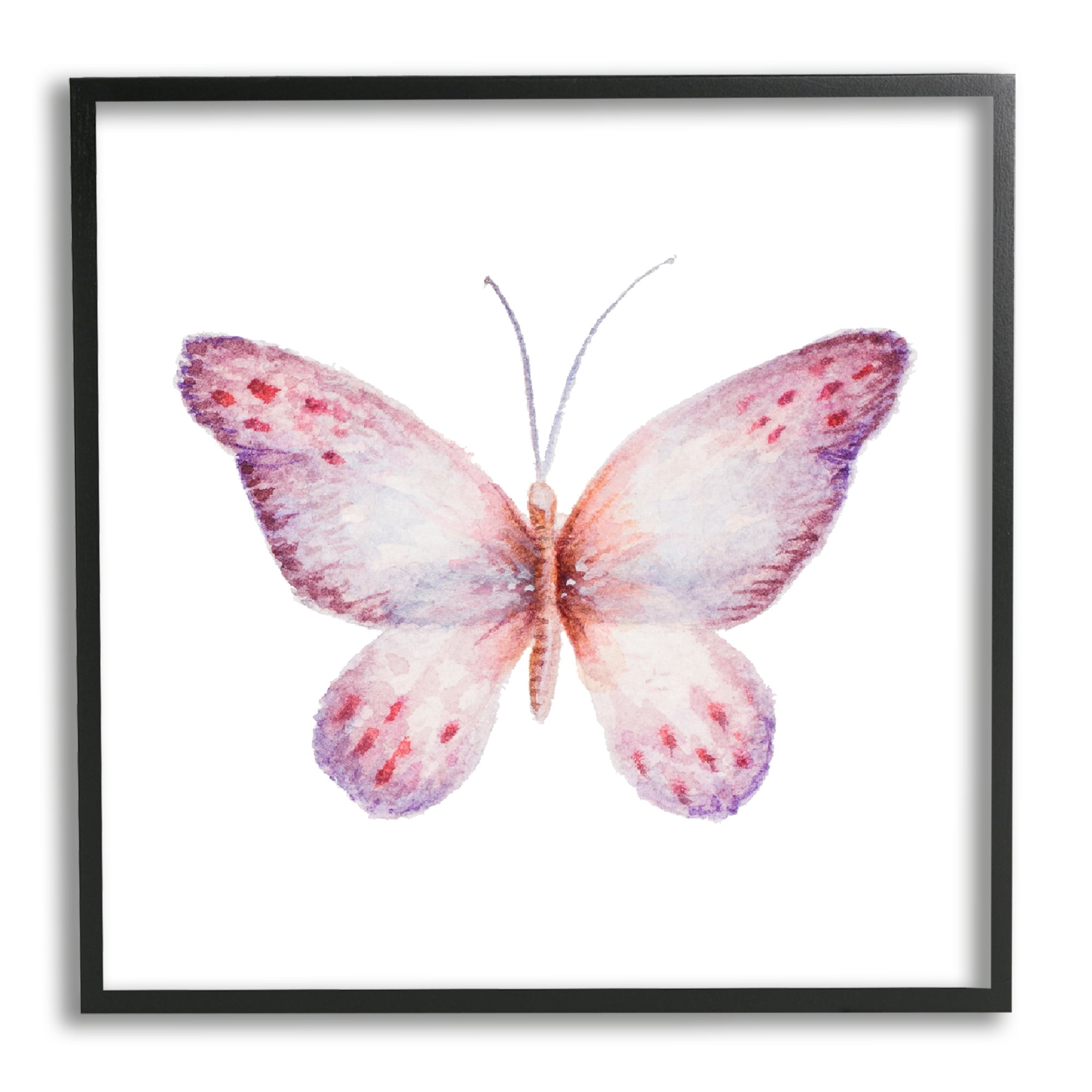 Stupell Industries Delicate Butterfly Red Spotted Wings Insect Illustration Painting Black Framed Art Print Wall Art, Design by Janice Gaynor