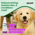 thumbnail image 2 of Spray para el tratamiento de la piel de perros Epi-Pet 118 ml lavanda, 2 of 8