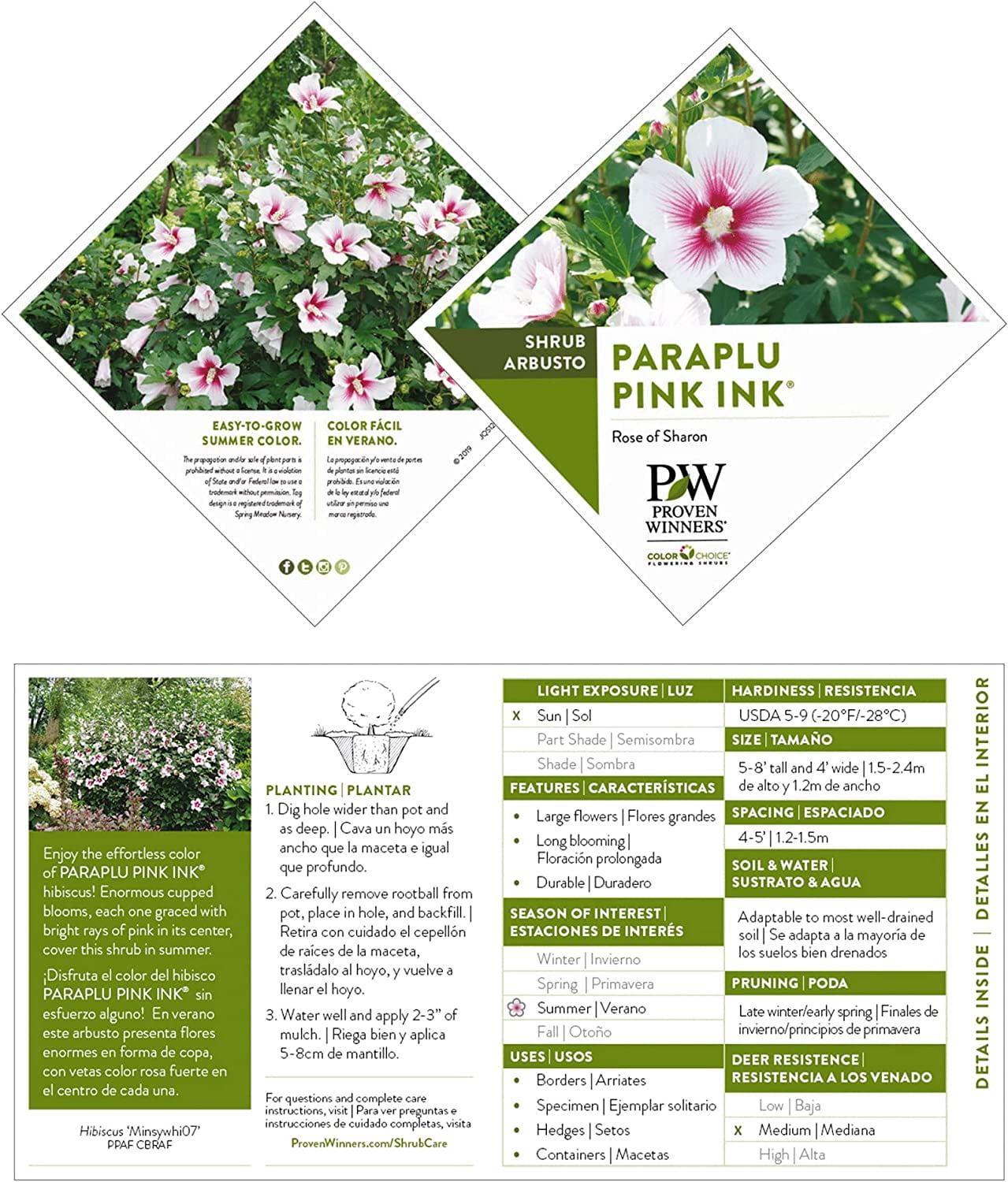 Proven Winners ColorChoice Paraplu Pink Ink Hibiscus Live Shrub (2 Gallon)