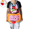 thumbnail image 1 of Anatomy Apron Human Body Organs Awareness Educational Insights Children's Toy, 1 of 4