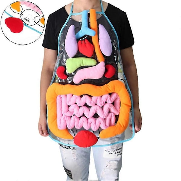 Anatomy Apron Human Body Organs Awareness Educational Insights Children's Toy