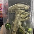 thumbnail image 2 of NECA-figura de acción de Alien vs Predator, Guerrero de cuadrícula, xenomorfo, modelo coleccionable, juguetes, regalo de cumpleaños y Navidad, 2 of 4