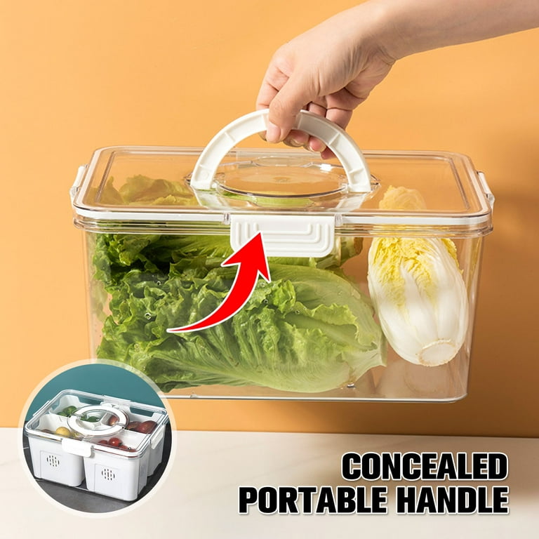 Snackle Box Refrigerator Storage Container Divided Portable Snack